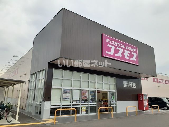 近くのドラッグストアまで875m（徒歩11分）