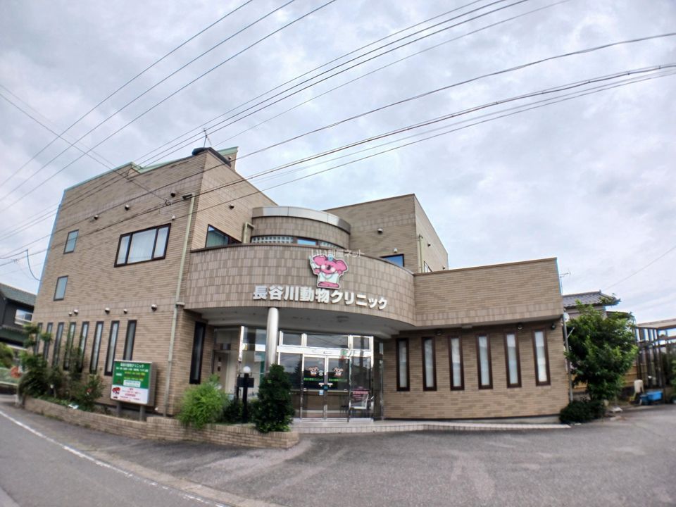 近くの長谷川動物クリニックまで907m（徒歩12分）