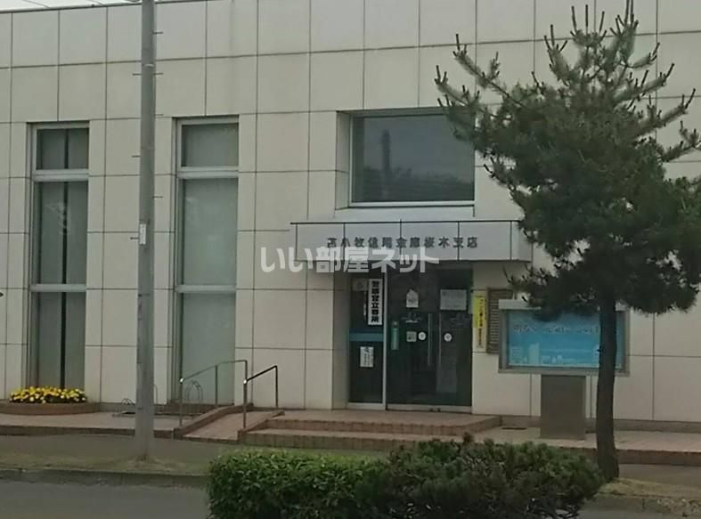 近くの苫小牧信用金庫 桜木支店まで231m(徒歩3分)