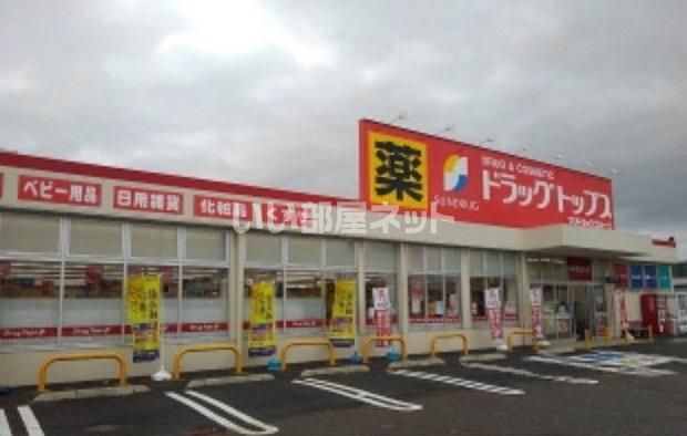 近くのドラッグストアまで963m（徒歩13分）