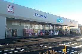 近くのドラッグストアまで999m（徒歩13分）