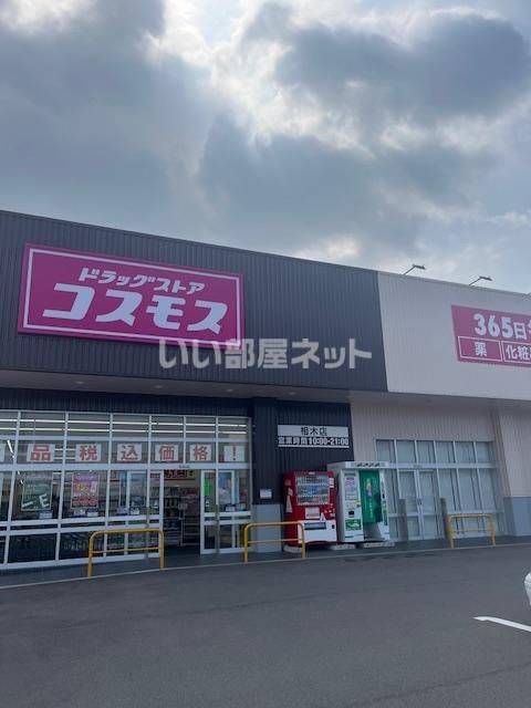 近くのドラッグストアまで983m（徒歩13分）