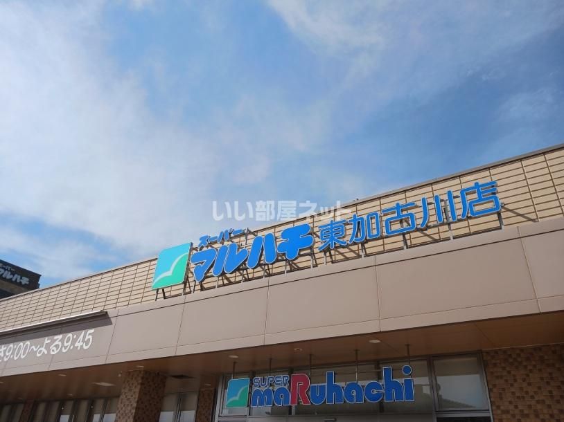 近くのスーパーマルハチ 東加古川店まで1,056m(徒歩14分)