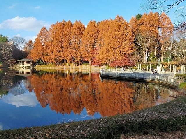 近くの栃木県中央公園まで195m（徒歩3分）