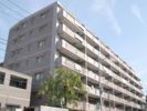 日神パレステージ石神井台の間取り画像