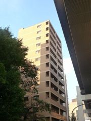 ソリッド大橋の外観画像
