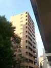 ソリッド大橋の外観