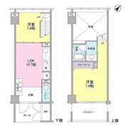 ラフィーヌ銀座の間取り画像