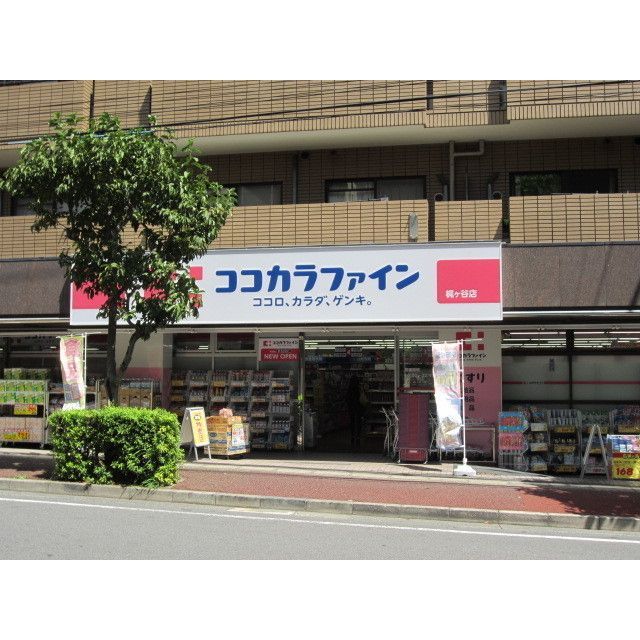 近くにドラッグストア（ココカラファイン）あり
