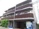 HY’s stage 西荻窪の間取り画像
