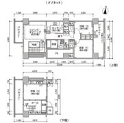東雲キャナルコートCODAN20号棟の間取り画像