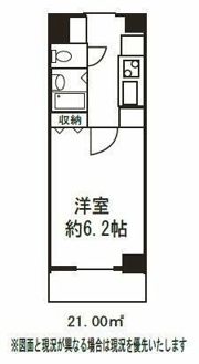ドミール菊川の間取り画像