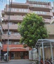 ロータリーパレス春日文京の外観画像