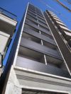 セルビシエ白金の外観