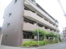 メゾン隨喜の間取り画像