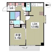 エクセルシオール新宿の間取り画像