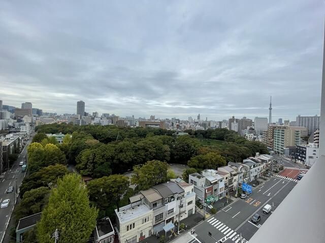眺望