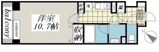 メゾン・ド・ヴィレ日本橋中洲の間取り画像