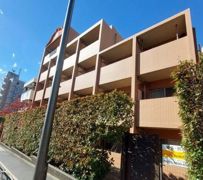 angel beetleの外観画像