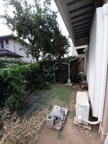 庭