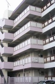 メゾン平井の外観画像