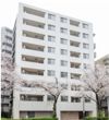 CREATIF中野の間取り画像