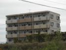 S・ASAGIRIの間取り画像