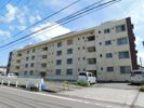 高洲マンションの間取り画像