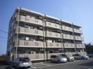 潮マンションの間取り画像