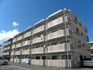 ユーミーハイツの間取り画像