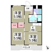丸屋ビルの間取り画像