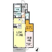 スプラドール Ⅱの間取り画像