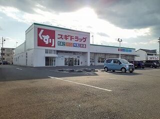 近くのスギドラッグ西島店まで700m（徒歩9分）