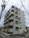 ヴィオッティの外観