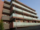 ログ池上の間取り画像