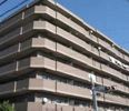 セントラルパレスの間取り画像