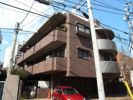 菱和パレス立教大学前・国際ハイムの間取り画像