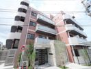 ラフィスタ墨田5丁目Ⅱの間取り画像