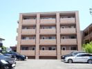 シャテロ巴の間取り画像