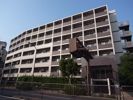 エコロジー都立大学レジデンスの間取り画像