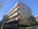 アミ浜田山の間取り画像