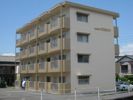 マンションエタニティーの間取り画像