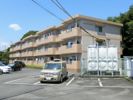 エタニティーIIの間取り画像