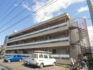 ハイゴールドマンションの間取り画像