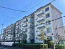 吹上団地7－4棟の間取り画像
