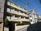 ビリジアン目白の間取り画像