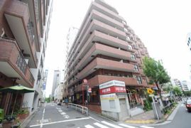 ライオンズステーションプラザ半蔵門の外観画像
