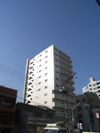 グランハイツ錦糸町の間取り画像