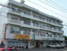 坂本第2マンションの間取り画像