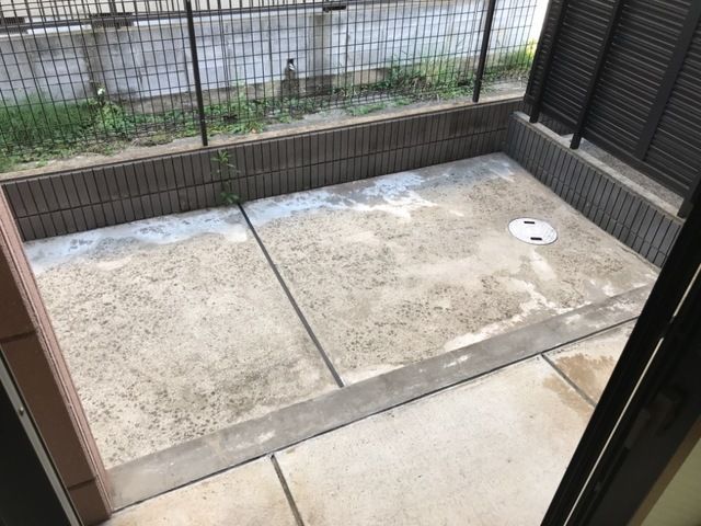 庭